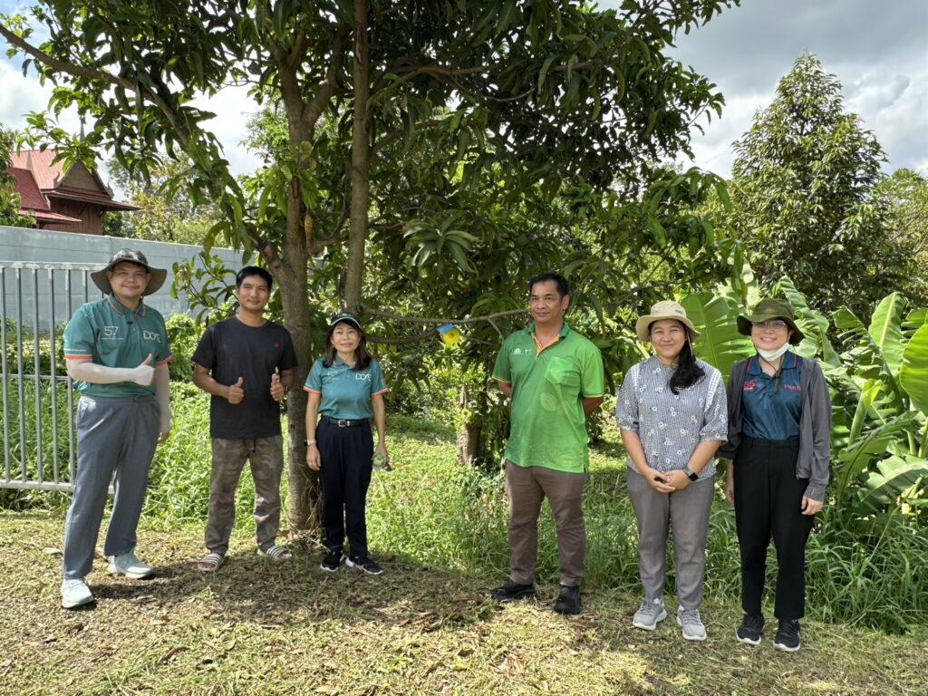 ลงพื้นที่ติดกับดักแมลงวันผลไม้
