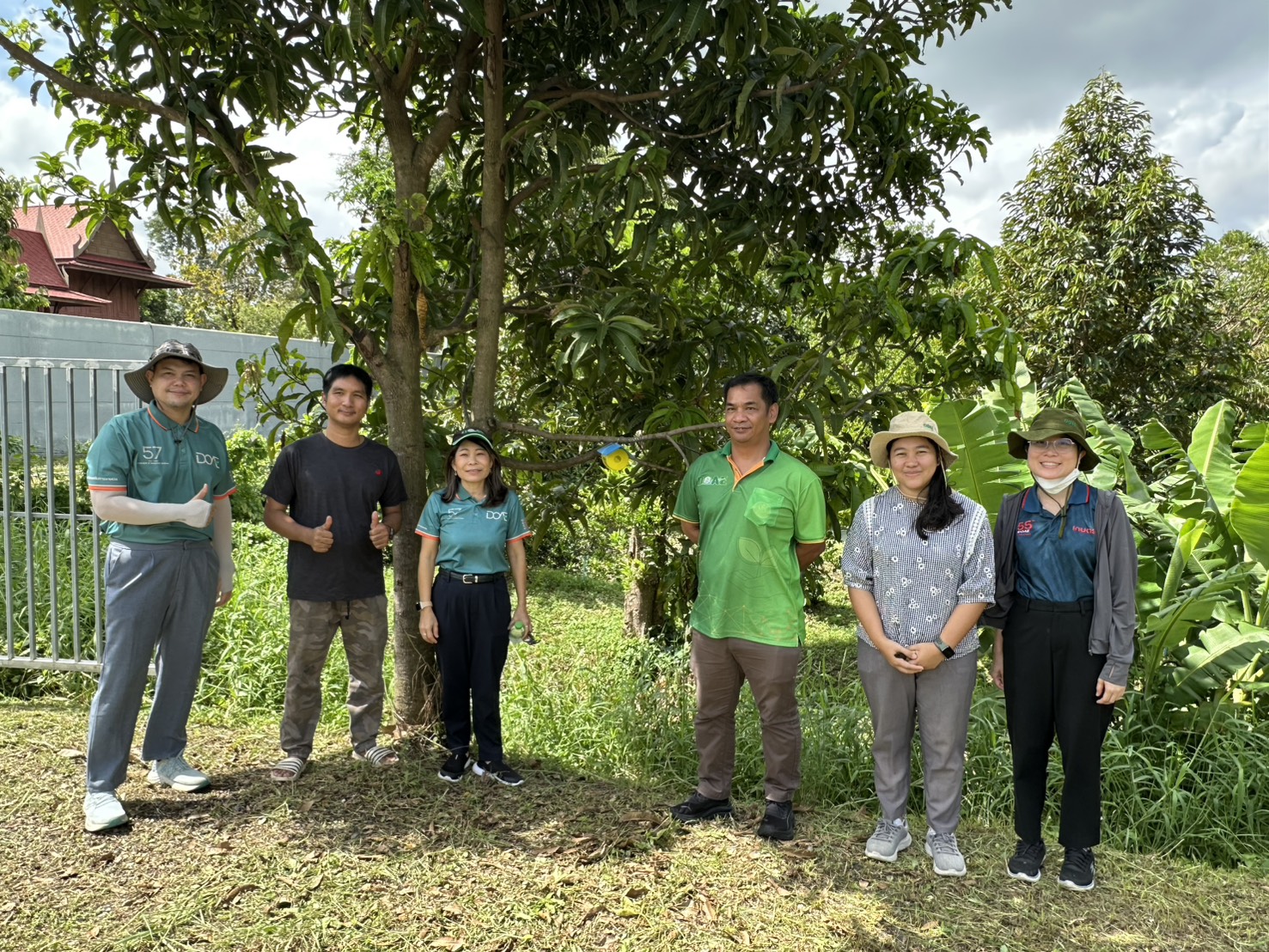 ลงพื้นที่ติดกับดักแมลงวันผลไม้
